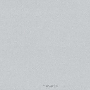 Geaves 5576 SILVER VL