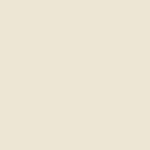 Stylam 1158 Interior White Laminated Plywood