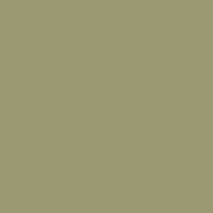 Egger U640 Olive Green ST9 Laminated Plywood
